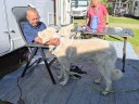 Kuvasz_Familientreffen_Boltenhagen_2025_141.jpg