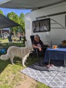 Kuvasz_Familientreffen_Boltenhagen_2025_144.jpg