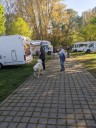 Kuvasz_Familientreffen_Boltenhagen_2025_193.jpg