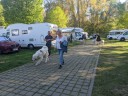 Kuvasz_Familientreffen_Boltenhagen_2025_195.jpg