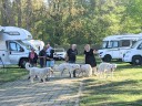 Kuvasz_Familientreffen_Boltenhagen_2025_198.jpg