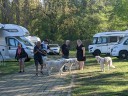 Kuvasz_Familientreffen_Boltenhagen_2025_199.jpg