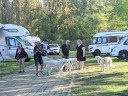 Kuvasz_Familientreffen_Boltenhagen_2025_200.jpg