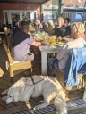 Kuvasz_Familientreffen_Boltenhagen_2025_203.jpg