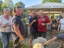 Kuvasz_Familientreffen_Boltenhagen_2025_213.jpg