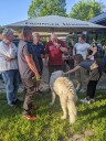 Kuvasz_Familientreffen_Boltenhagen_2025_217.jpg