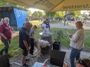 Kuvasz_Familientreffen_Boltenhagen_2025_218.jpg