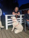 Kuvasz_Familientreffen_Boltenhagen_2025_223.jpg