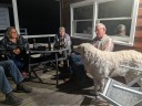 Kuvasz_Familientreffen_Boltenhagen_2025_228.jpg