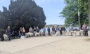 Kuvasz_Familientreffen_Boltenhagen_2025_260.jpg