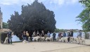 Kuvasz_Familientreffen_Boltenhagen_2025_266.jpg