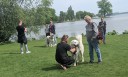 Kuvasz_Familientreffen_Boltenhagen_2025_291.jpg