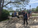 Kuvasz_Familientreffen_Boltenhagen_2025_334.jpg
