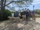 Kuvasz_Familientreffen_Boltenhagen_2025_335.jpg