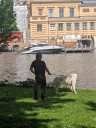 Kuvasz_Familientreffen_Boltenhagen_2025_349.jpg