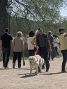 Kuvasz_Familientreffen_Boltenhagen_2025_352.jpg
