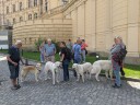 Dateiname=Kuvasz_Familientreffen_Boltenhagen_2025_358.jpg
Dateigröße=15952KB
Abmessungen: 4032x3024
hinzugefügt am: 28. Oktober 2025 Kuvasz_Familientreffen_Boltenhagen_2025_358.jpg