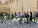 Dateiname=Kuvasz_Familientreffen_Boltenhagen_2025_359.jpg
Dateigröße=4357KB
Abmessungen: 4032x3024
hinzugefügt am: 28. Oktober 2025 Kuvasz_Familientreffen_Boltenhagen_2025_359.jpg