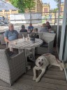 Dateiname=Kuvasz_Familientreffen_Boltenhagen_2025_369.jpg
Dateigröße=3989KB
Abmessungen: 3024x4032
hinzugefügt am: 28. Oktober 2025 Kuvasz_Familientreffen_Boltenhagen_2025_369.jpg