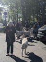 Dateiname=Kuvasz_Familientreffen_Boltenhagen_2025_389.jpg
Dateigröße=4953KB
Abmessungen: 3024x4032
hinzugefügt am: 28. Oktober 2025 Kuvasz_Familientreffen_Boltenhagen_2025_389.jpg