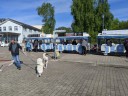 Dateiname=Kuvasz_Familientreffen_Boltenhagen_2025_406.jpg
Dateigröße=7339KB
Abmessungen: 4032x3024
hinzugefügt am: 28. Oktober 2025 Kuvasz_Familientreffen_Boltenhagen_2025_406.jpg