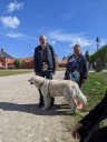 Kuvasz_Familientreffen_Boltenhagen_2025_476.jpg