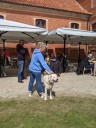 Dateiname=Kuvasz_Familientreffen_Boltenhagen_2025_491.jpg
Dateigröße=6393KB
Abmessungen: 3024x4032
hinzugefügt am: 28. Oktober 2025 Kuvasz_Familientreffen_Boltenhagen_2025_491.jpg
