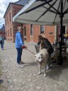 Dateiname=Kuvasz_Familientreffen_Boltenhagen_2025_493.jpg
Dateigröße=6131KB
Abmessungen: 3024x4032
hinzugefügt am: 28. Oktober 2025 Kuvasz_Familientreffen_Boltenhagen_2025_493.jpg