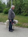 Kuvasz_Familientreffen_Boltenhagen_2025_512.jpg