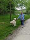 Kuvasz_Familientreffen_Boltenhagen_2025_516.jpg