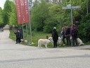Kuvasz_Familientreffen_Boltenhagen_2025_521.jpg