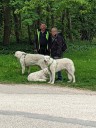 Dateiname=Kuvasz_Familientreffen_Boltenhagen_2025_524.jpg
Dateigröße=6968KB
Abmessungen: 3024x4032
hinzugefügt am: 28. Oktober 2025 Kuvasz_Familientreffen_Boltenhagen_2025_524.jpg