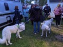 Dateiname=Kuvasz_Familientreffen_Boltenhagen_2025_560.jpg
Dateigröße=11638KB
Abmessungen: 4032x3024
hinzugefügt am: 28. Oktober 2025 Kuvasz_Familientreffen_Boltenhagen_2025_560.jpg