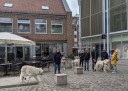 Dateiname=Kuvasz_Familientreffen_Boltenhagen_2025_591.jpg
Dateigröße=2673KB
Abmessungen: 3423x2456
hinzugefügt am: 28. Oktober 2025 Kuvasz_Familientreffen_Boltenhagen_2025_591.jpg