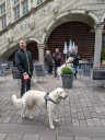 Dateiname=Kuvasz_Familientreffen_Boltenhagen_2025_598.jpg
Dateigröße=3821KB
Abmessungen: 3024x4032
hinzugefügt am: 28. Oktober 2025 Kuvasz_Familientreffen_Boltenhagen_2025_598.jpg