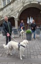 Dateiname=Kuvasz_Familientreffen_Boltenhagen_2025_599.jpg
Dateigröße=2870KB
Abmessungen: 2459x3773
hinzugefügt am: 28. Oktober 2025 Kuvasz_Familientreffen_Boltenhagen_2025_599.jpg
