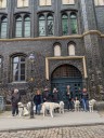 Dateiname=Kuvasz_Familientreffen_Boltenhagen_2025_615.jpg
Dateigröße=4727KB
Abmessungen: 3024x4032
hinzugefügt am: 28. Oktober 2025 Kuvasz_Familientreffen_Boltenhagen_2025_615.jpg