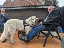 Dateiname=Kuvasz_Familientreffen_Boltenhagen_2025_649.jpg
Dateigröße=4222KB
Abmessungen: 4032x3024
hinzugefügt am: 28. Oktober 2025 Kuvasz_Familientreffen_Boltenhagen_2025_649.jpg