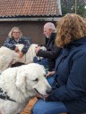 Kuvasz_Familientreffen_Boltenhagen_2025_651.jpg