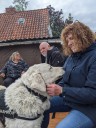 Dateiname=Kuvasz_Familientreffen_Boltenhagen_2025_652.jpg
Dateigröße=3723KB
Abmessungen: 3024x4032
hinzugefügt am: 28. Oktober 2025 Kuvasz_Familientreffen_Boltenhagen_2025_652.jpg