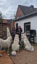 Kuvasz_Familientreffen_Boltenhagen_2025_661.jpg