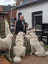Kuvasz_Familientreffen_Boltenhagen_2025_663.jpg