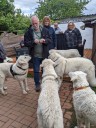 Kuvasz_Familientreffen_Boltenhagen_2025_665.jpg