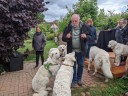 Kuvasz_Familientreffen_Boltenhagen_2025_667.jpg