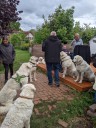 Kuvasz_Familientreffen_Boltenhagen_2025_670.jpg