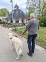 Kuvasz_Familientreffen_Boltenhagen_2025_728.jpg