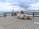 Kuvasz_Familientreffen_Boltenhagen_2025_735.jpg