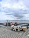 Kuvasz_Familientreffen_Boltenhagen_2025_736.jpg