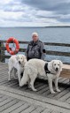 Kuvasz_Familientreffen_Boltenhagen_2025_737.jpg