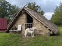Kuvasz_Familientreff_031025_052.jpg